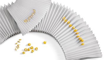Pleated Strips